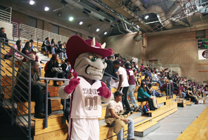 Dusty at a Game