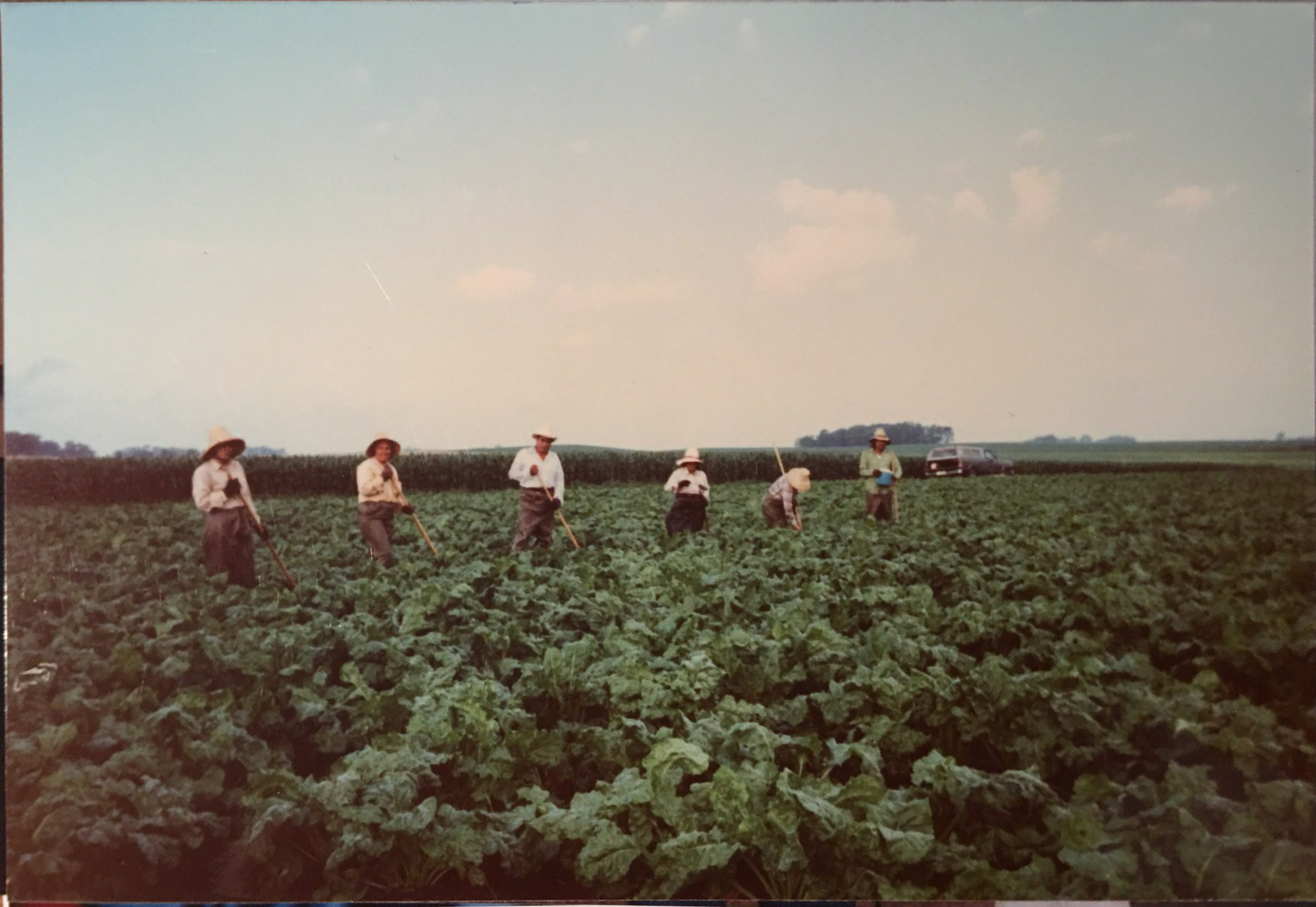 Workers on Field
