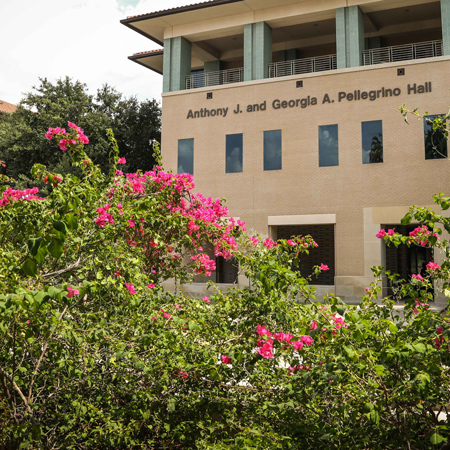 Pink flowers on a bush with a TAMIU student building in the background