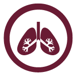 lung icon