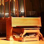 Sharkey Corrigan Organ