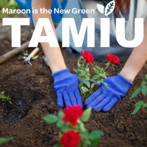 Artwork for Maroon is the New Green campaign