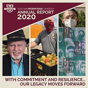 annual report 2020 cover
