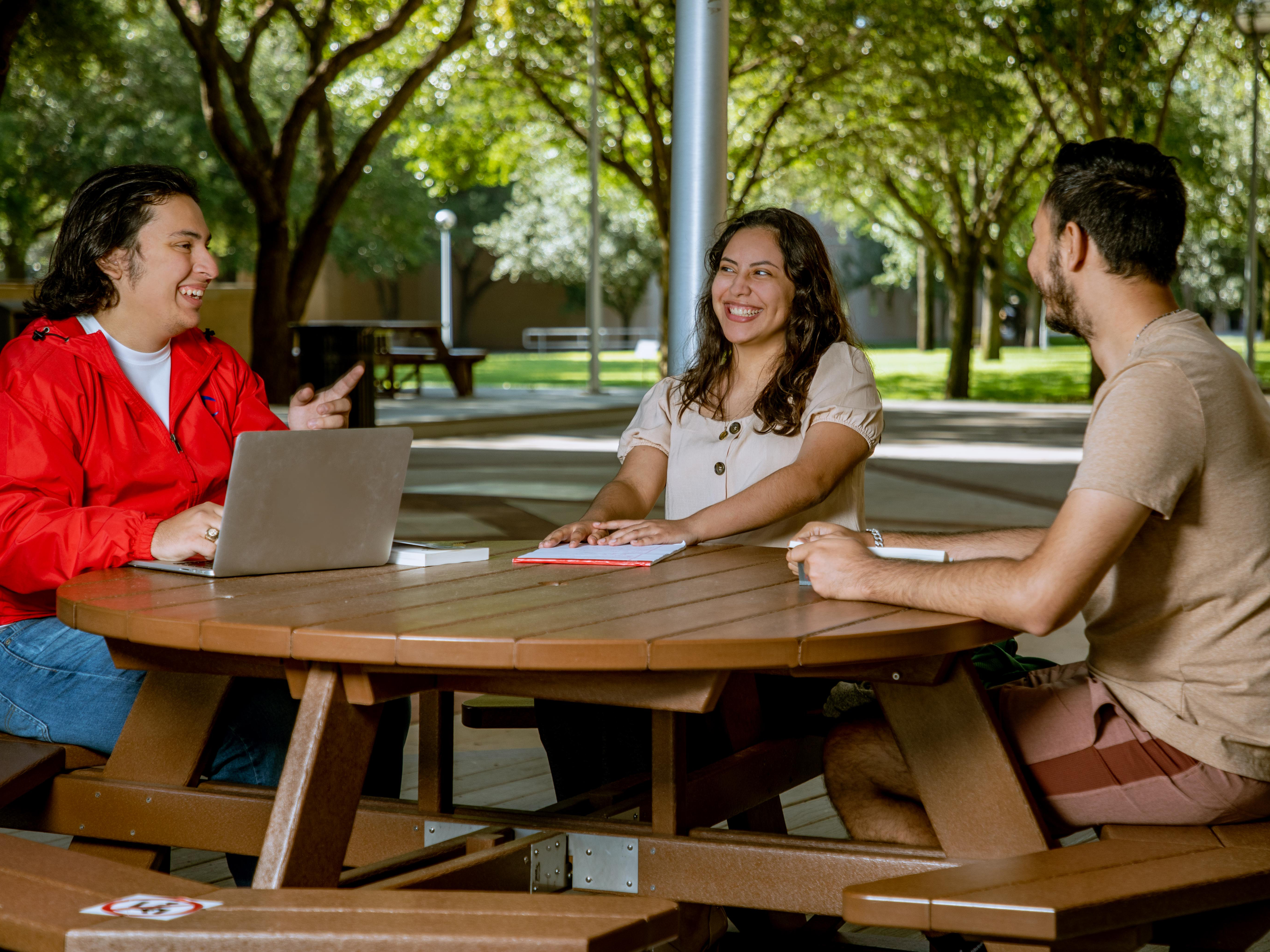 students studying outdoors